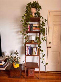 Walnut Ladder Shelf - Design Within Reach - Folk Ladder