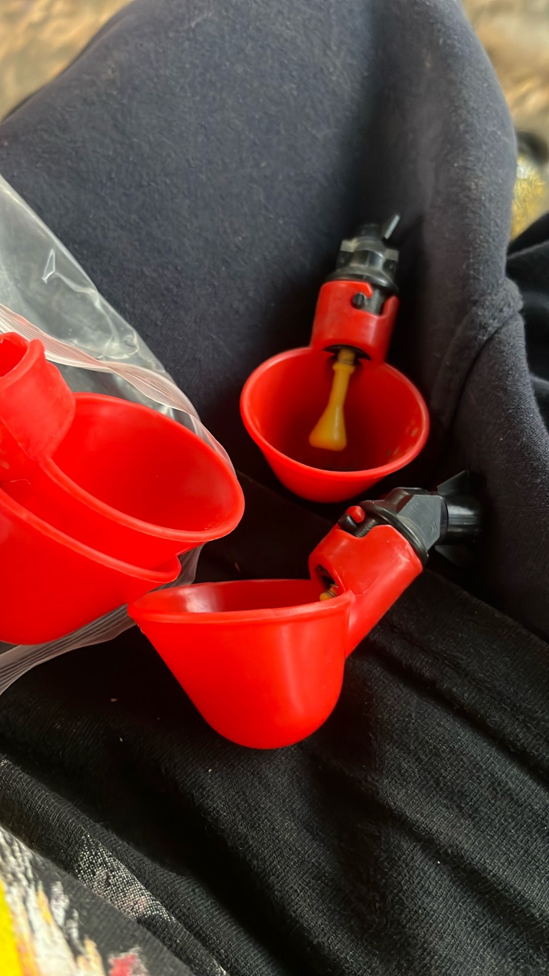 Rooster/chicken Water Dispenser