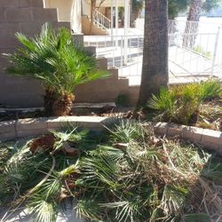 Landscaping For Trade :) On My Days Off 