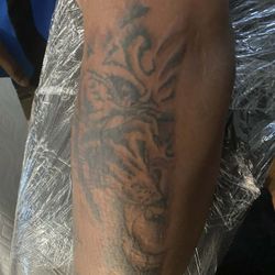 Eye Of A Lion 