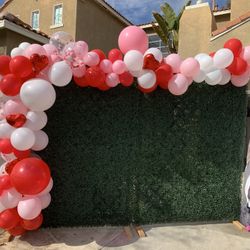Balloon Garland , Backdrops