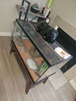 Reptile habitat