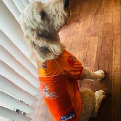 Cleveland Browns Dog Jersey