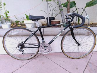 Schwinn jr bike
