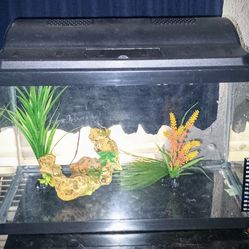 10 Gallon Fish Tank+ Accessories