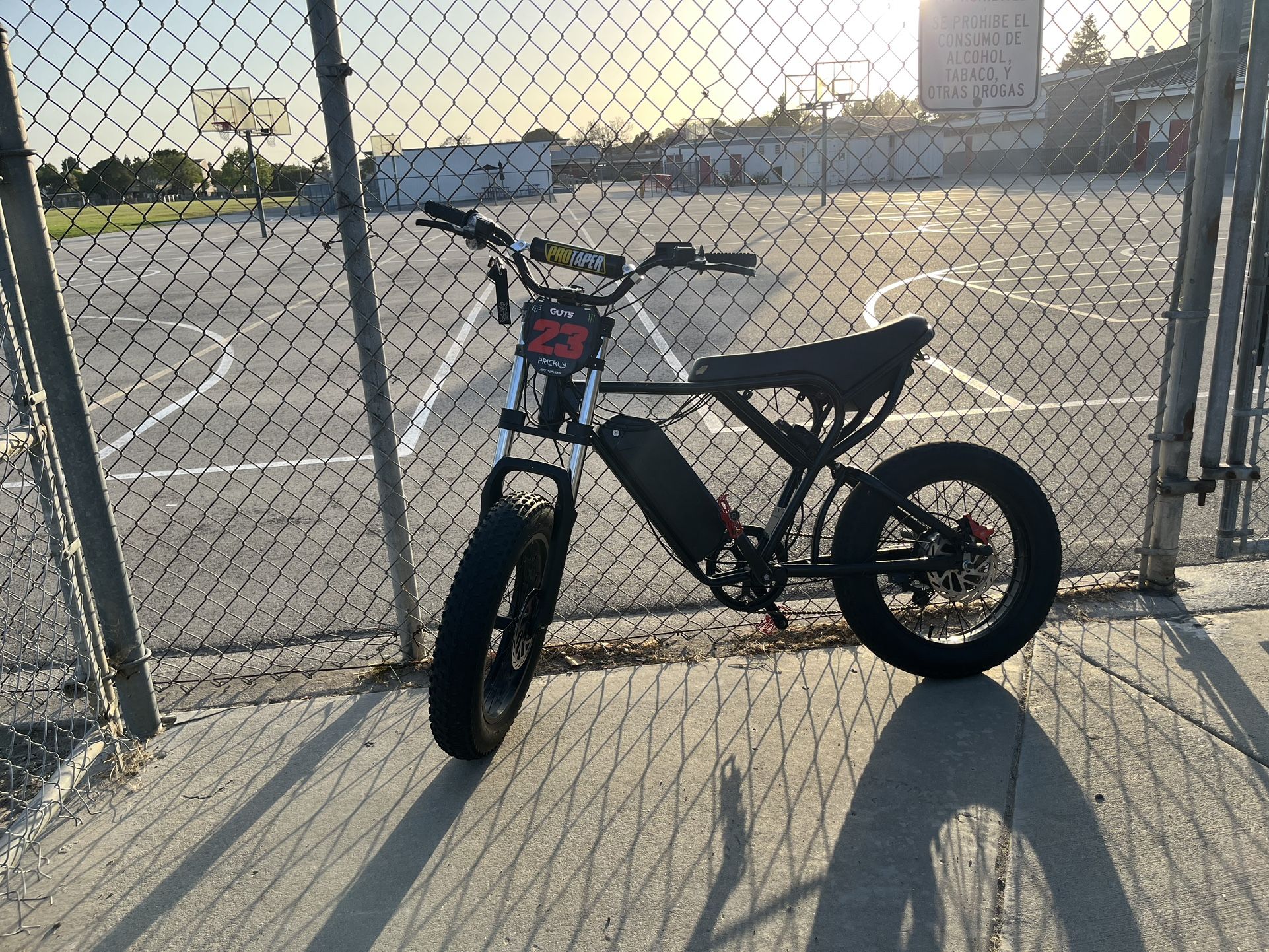 Ridstar Q20 1500 Watt