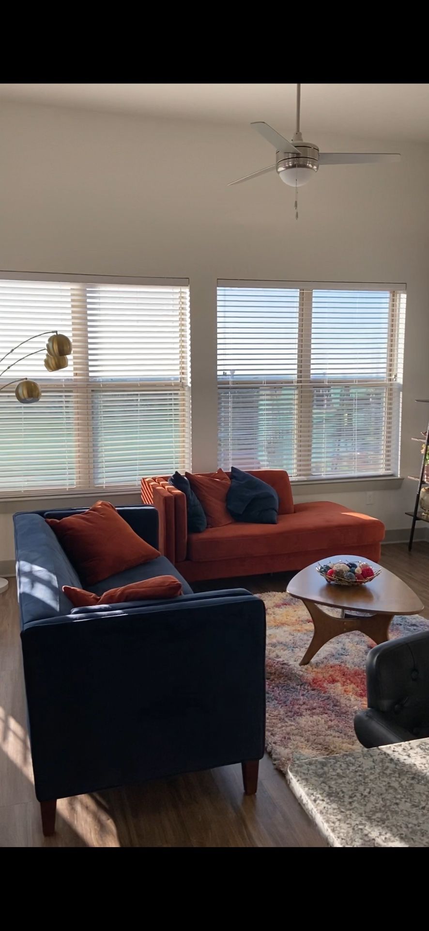 2 piece chic sofa set with free rug