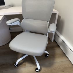 Ergonomic Office Chair