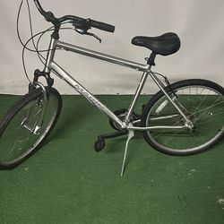 Grey adult Marin bike