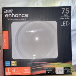 LED Lights