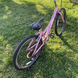 20” Mt220 Trek Bike For Girls