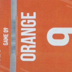 Dolphins Parking Pass Orange