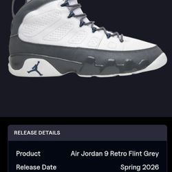 Air Jordan Retro 9