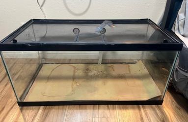 40 Gallon Reptile Tank