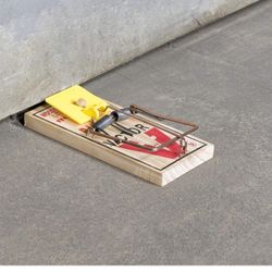 Victor M205-9 Wide Plastic Pedal Sustainably Sourced FSC Wood Humane Snap Rat Traps - 9 Wooden Traps