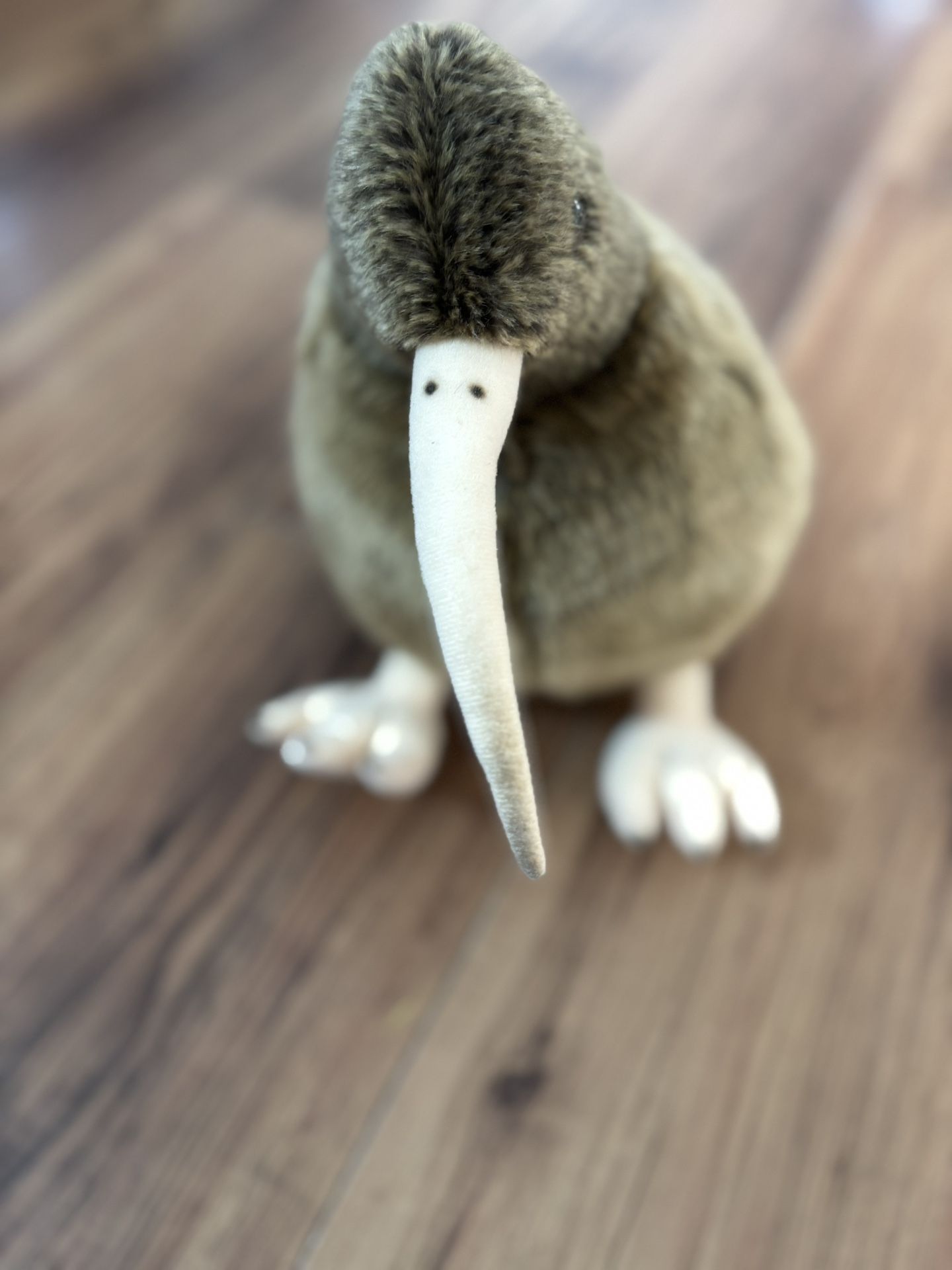 RARE Sun Arrow Kiwi Bird Plush – 11” Realistic Stuffed Animal