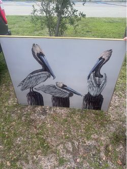 Pelican painting
