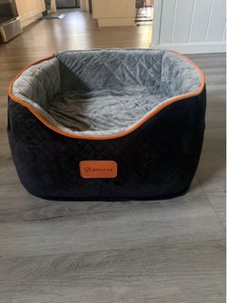 Dog car seat