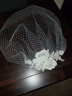 David's Bridal birdcage veil