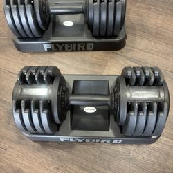 Flybird 55 Lb Dumbbell