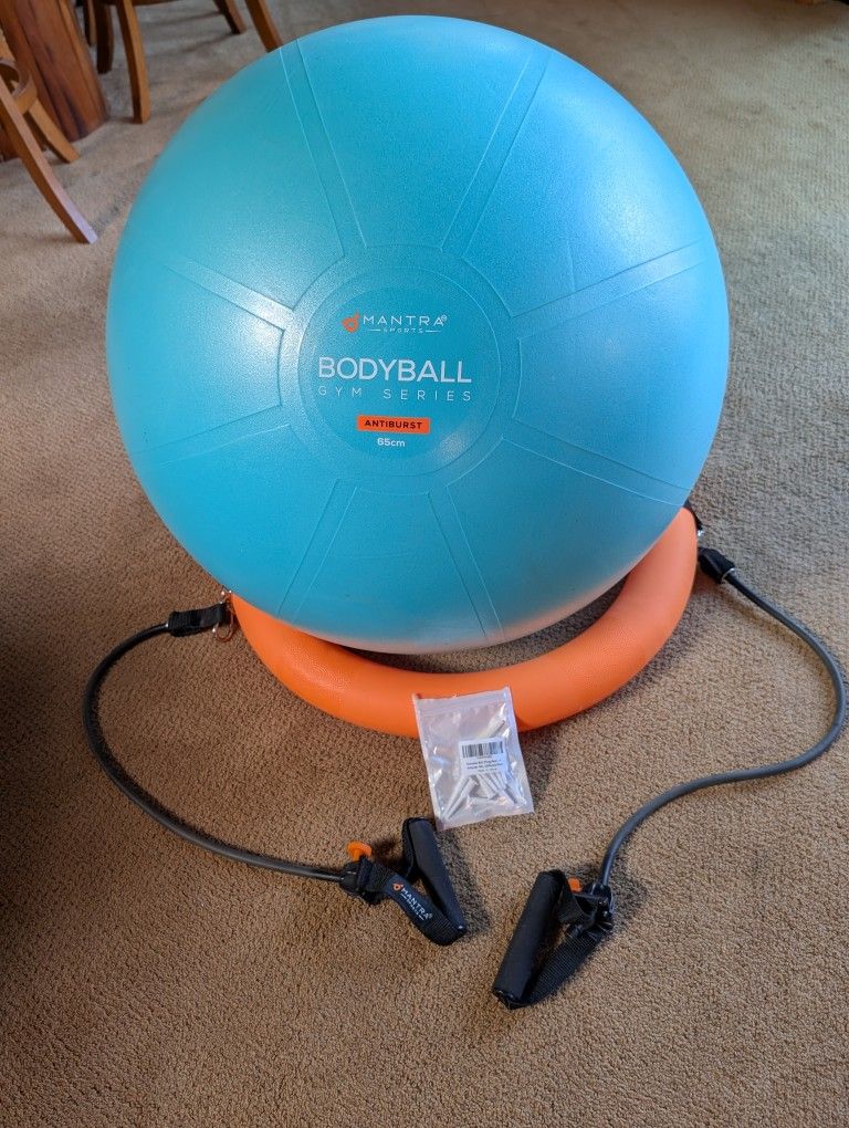 Mantra 65cm Body Ball with Resistance Bands