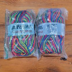2 Skiens of Acrylic Rainbow Yarn ~ Patons Canatiana ~ 192 Yds/skein, 4 - Medium