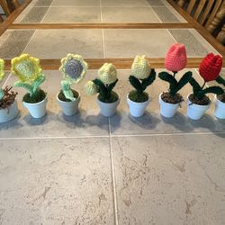 (10$ Each)Handmade Crochet Flowers