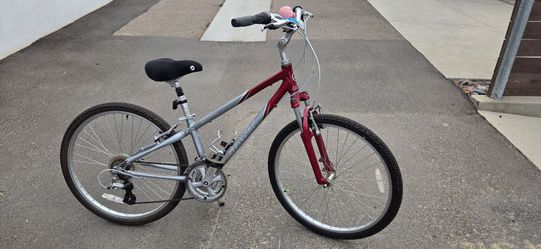 Giant sedona 21 speed bike