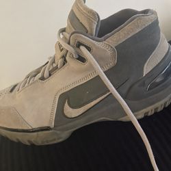 Nike Lebron Zoom Air Generation 