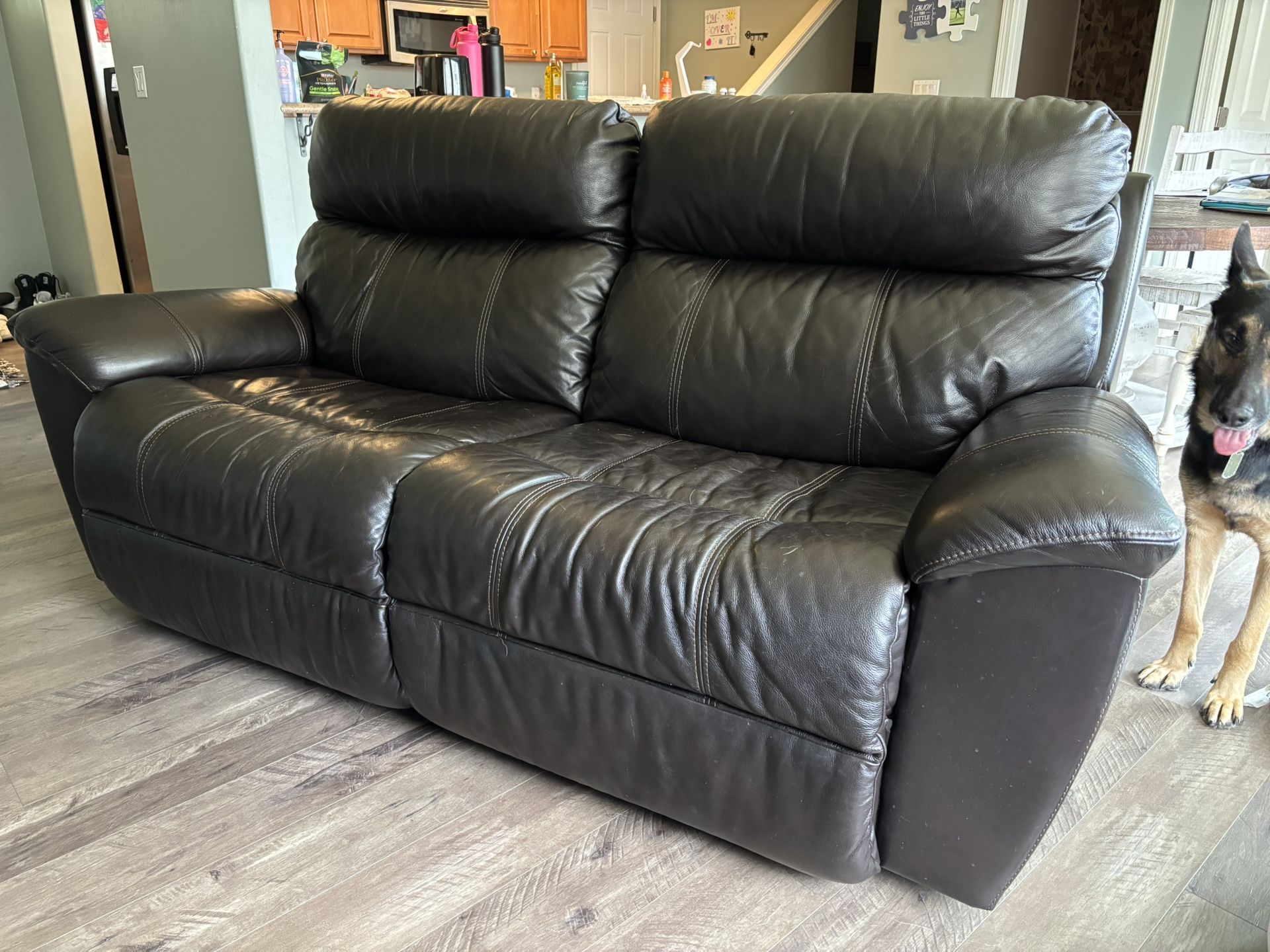 Leather Recliner