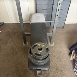 BENCH PRESS /DUMBELLS/AB ROLLER