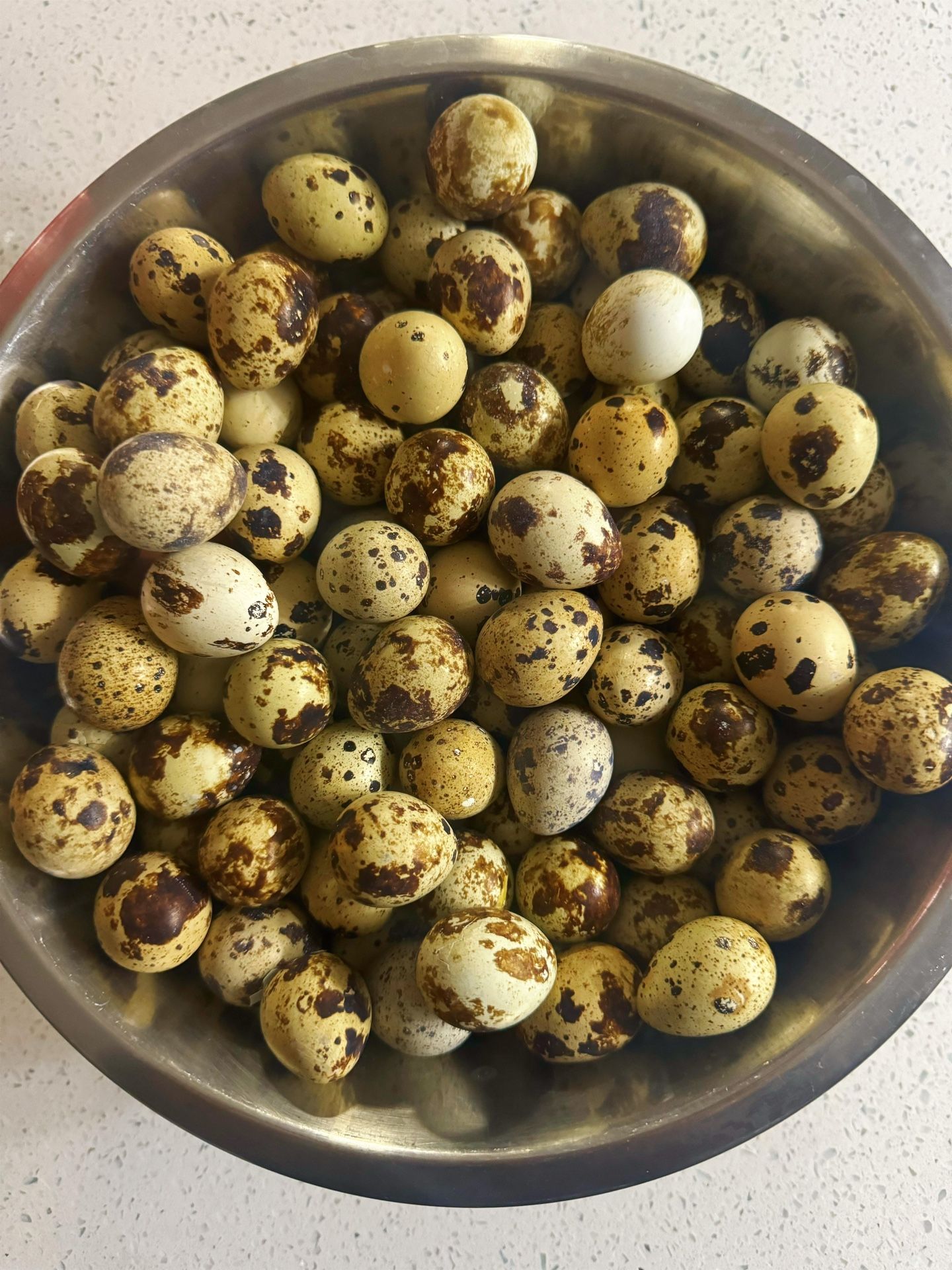  Quail Eggs 36Pcs 