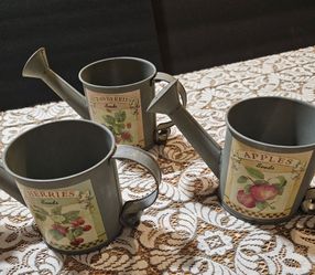 Galvanized Metal Watering Can and Planter Set