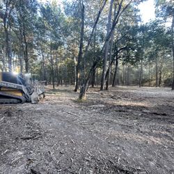 Land Clearing For Sale 