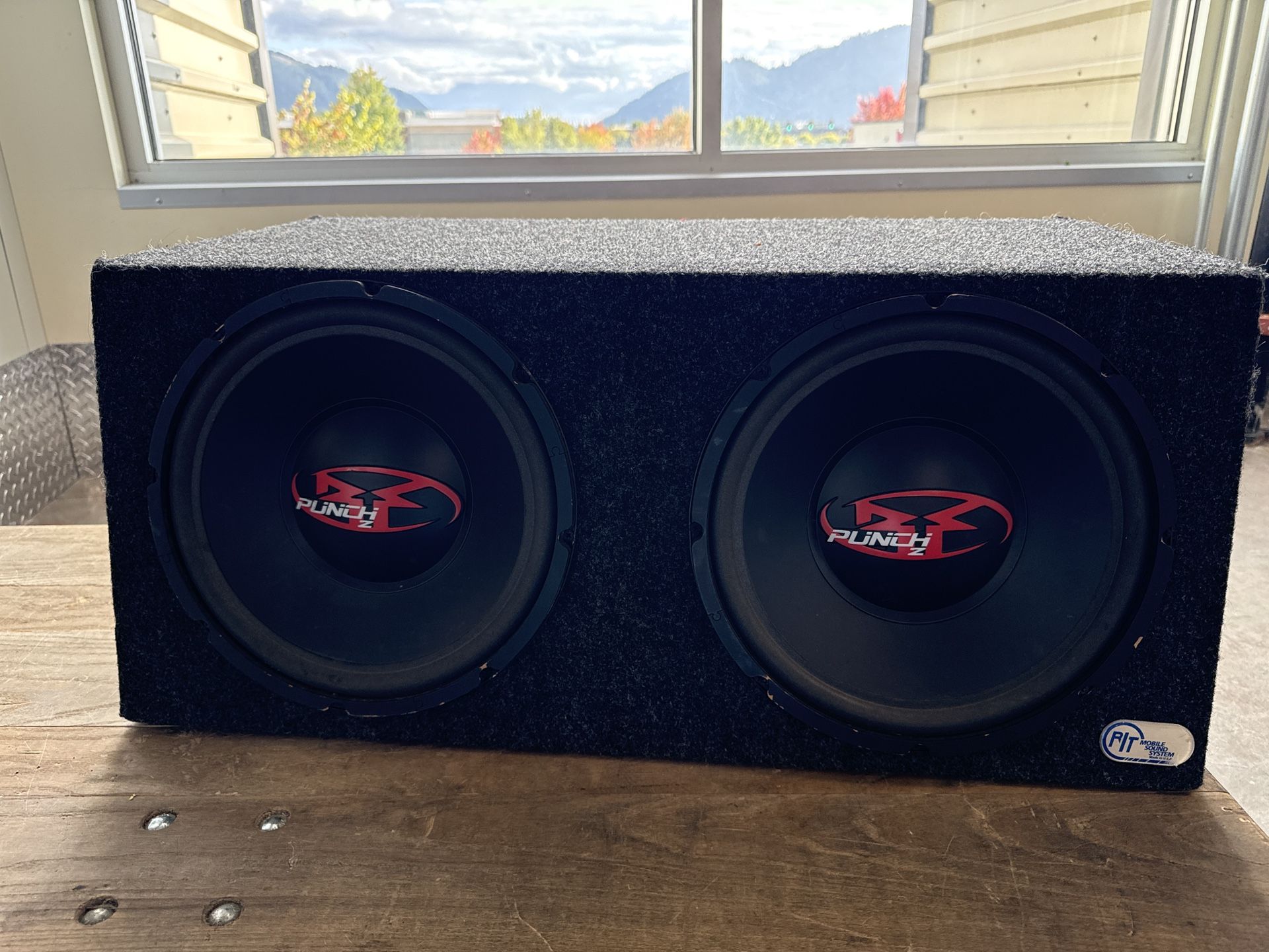 Oldschool Rockford Fosgate Punch Z  12" Subwoofer