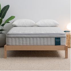 Leesa Oasis Chill 13.5" Euro Top Medium Firm Hybrid Mattress, Queen