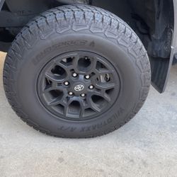 Tires and rims