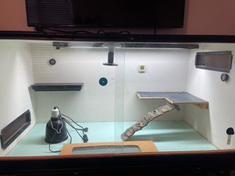 CUSTOM Reptile Enclosure