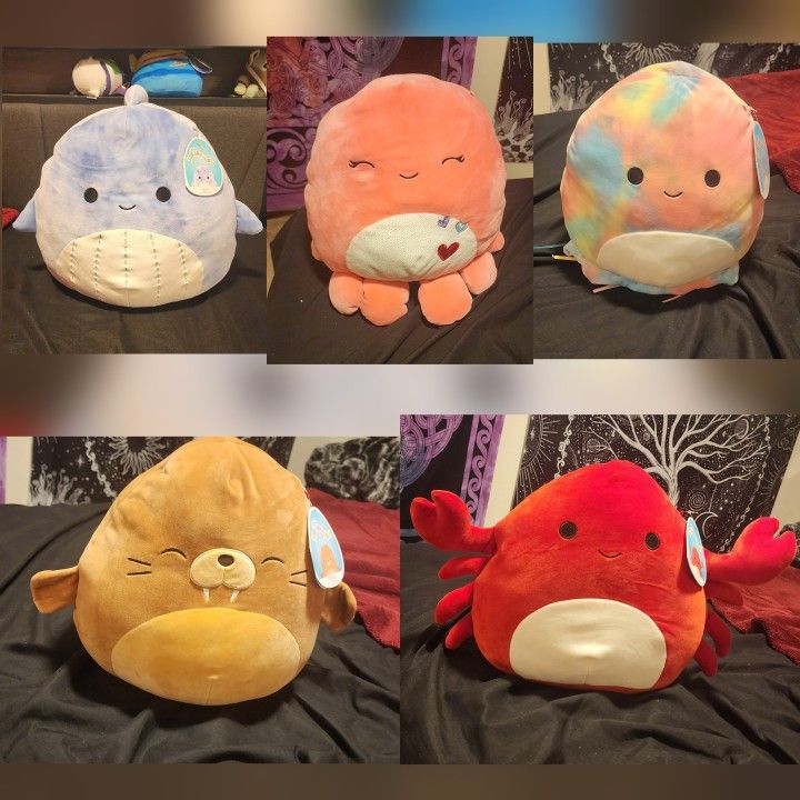 Sea Squishmallow Lot