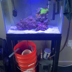 25 Gallon Fish Tank