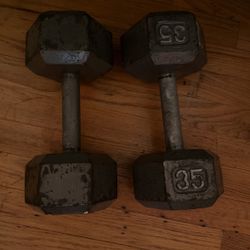 2  35 Ib Steel Dumbbells 