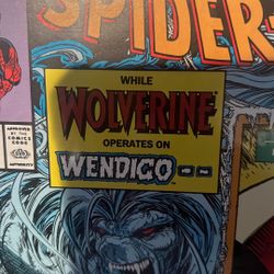 Spider 🕷️ Man Comic Book 