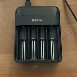 EFEST 18650 Battery Charger