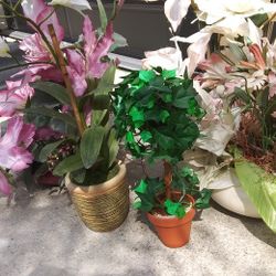 Box Of Multiple Floral  Arrangement