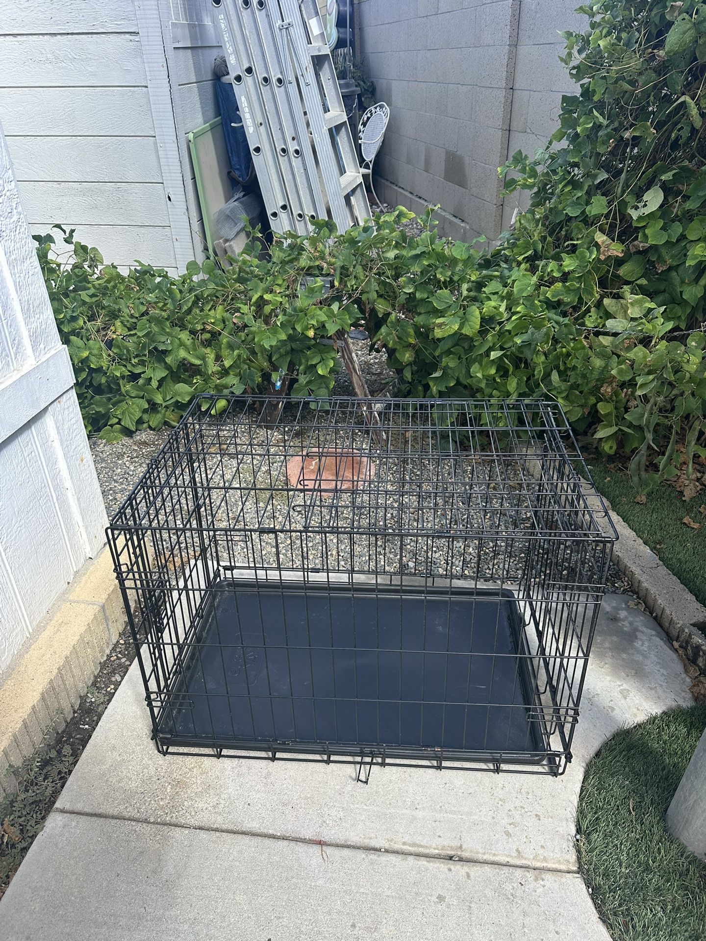 EveryYay Dog Crate