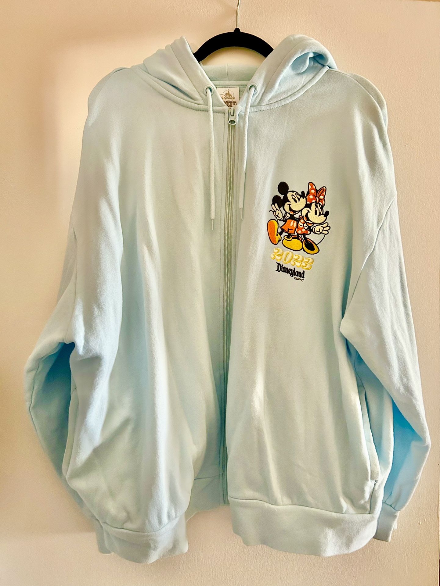 Disney Hoodie