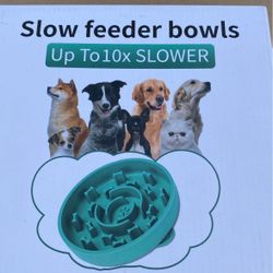 Slow Feeder Bowl 