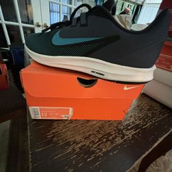 NIKE DOWNSHIFTER 12 Men