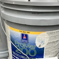 Paint Interior Flat (Antique White)