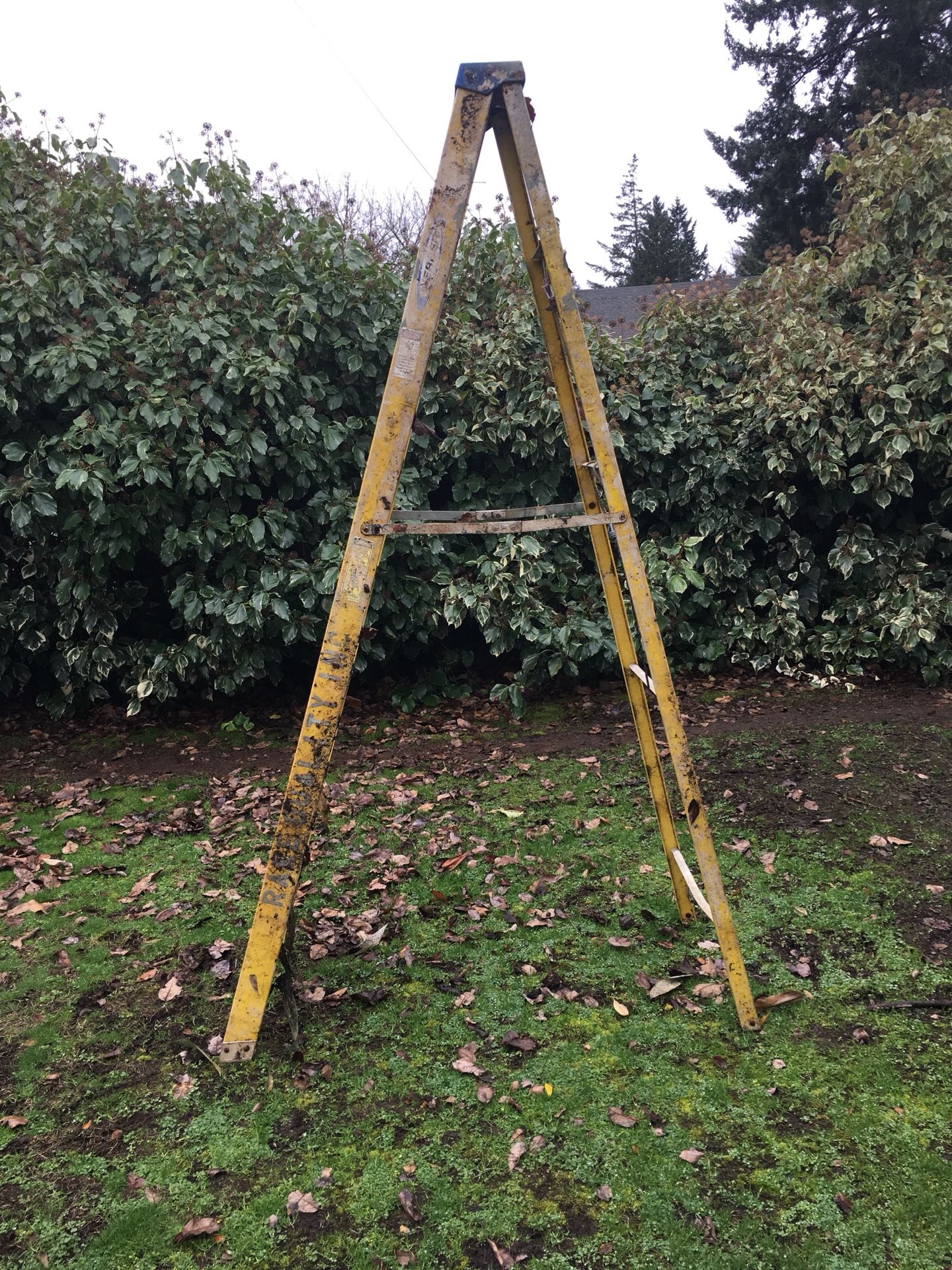 8’ ladder